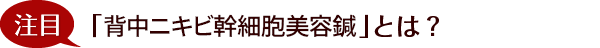 注目「背中ニキビ幹細胞美容鍼」とは？