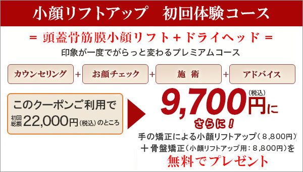 このクーポンご利用で初回総額22,000円（税込）のところ▶9,700円（税込）に