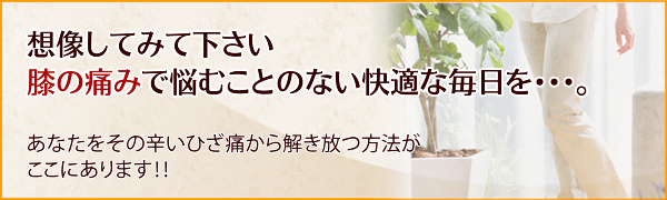 想像してみて下さい膝の痛みで悩むことのない快適な毎日を･･･。あなたをその辛いひざ痛から解き放つ方法がここにあります！！